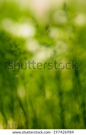 Abstract background green bokeh. Spring theme.