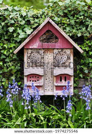
Beautiful old insect or bug hotel hung on an ivy covered wall and blue bluebells flowers in spring country garden. Animal protect concept.