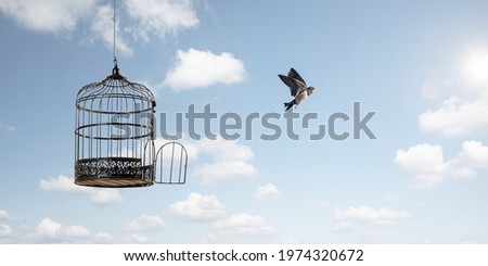Bird flying away to freedom Royalty-Free Stock Photo #1974320672