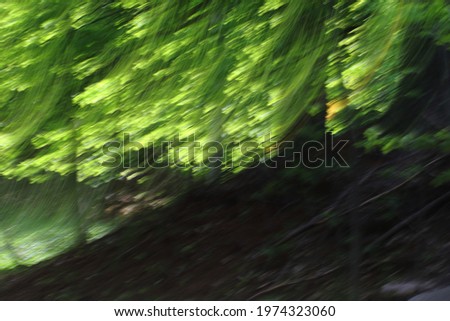 Abstract forest scene on a spring day