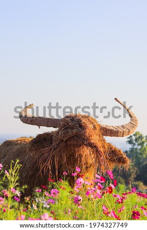 A straw puppet made in the shape of a buffalo is installed inside the colorful cosmos garden for tourists to view and take pictures. Cosmos flower garden installed a buffalo-shaped puppet for beauty.
