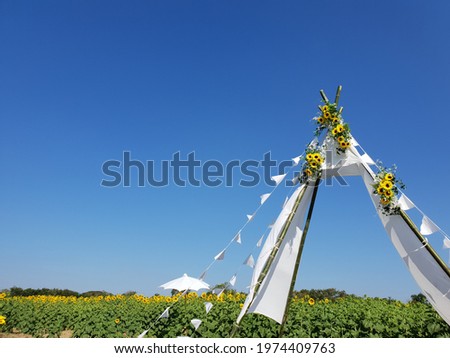 A sun flower field with blue sky and white pediment gate