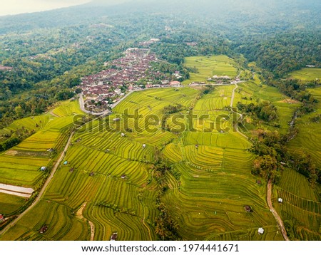 Aerial drone view of the UNESCO World heritage Jatiluwih rice terrace in Bali, Indonesia