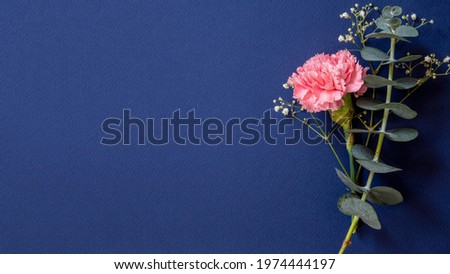 beautiful rose with space on dark blue background