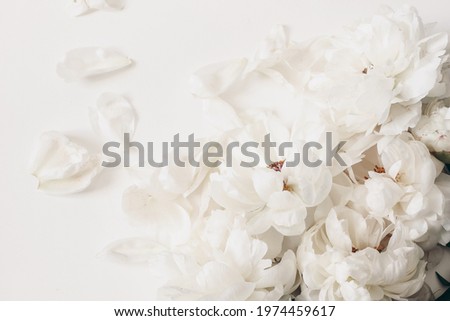 Decorative floral corner, banner made of peonies flowers, petals isolated on white table background. Empty copy space. Flat lay, top view. Picture for blog. Summer wedding or birthday concept.