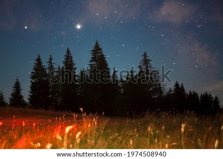 night sky in the forest with stars and field with light