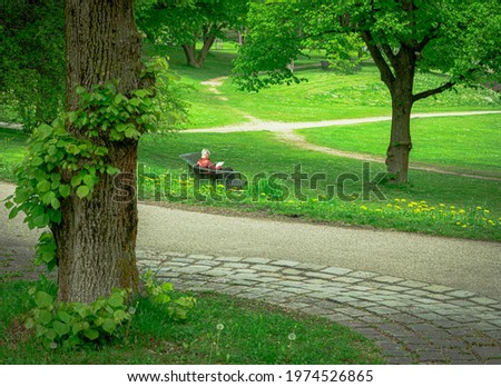 Reading alone in the park