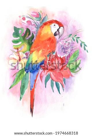 Harlequin Macaw, parrot in tropical leaves and flowers, parrot sitting on white background. Realistic watercolor. Seamless pattern. Clip art. Hand drawn. Hand painted