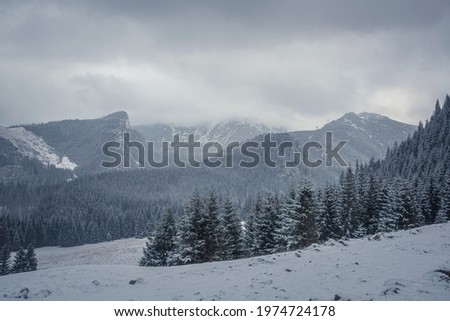 Heavy snowfall in Kalatówki, Western Tatra Mountains, Poland. Clouds over the peaks, trees covered with snow. Selective focus on the forest, blurred background. Royalty-Free Stock Photo #1974724178