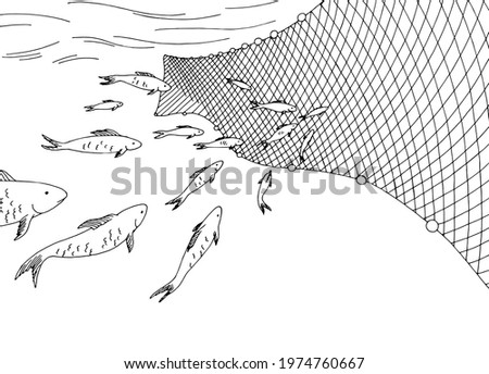 School of fish moving into the fishing net graphic sea black white sketch illustration vector