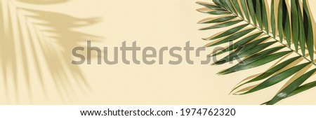 Summer minimal background with natural green palm leaves with sun shadows on light yellow paper with copy space. Pastel colored aesthetic photography with palm plant.