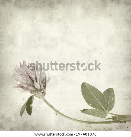 textured old paper background with pink clover flower