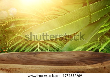 wooden table in front of tropical green floral background. for product display and presentation.