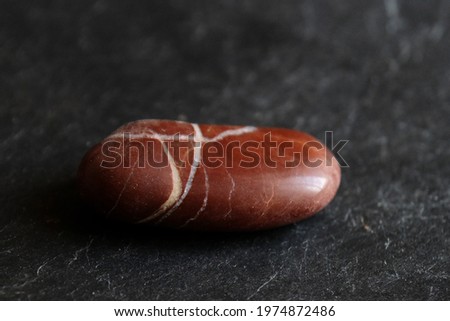 reddish- brown, veined , jasper tumbled pebble on gray slate background