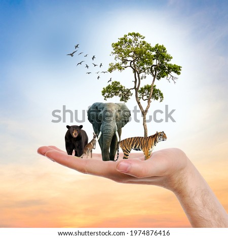 This design means International Day for Biological Diversity Royalty-Free Stock Photo #1974876416