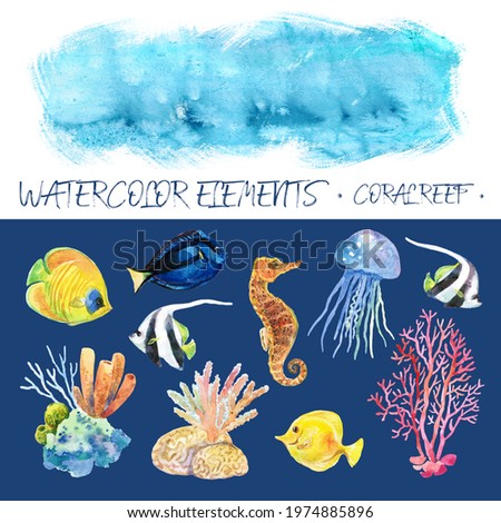 Watercolor illustrations of coral reef for scrapbooking, postcard decoration and other design projects