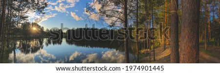 photography panorama view background beautiful forest lake at sunset surrounded by tall pine trees in hot weather, nature of russia, mari-el