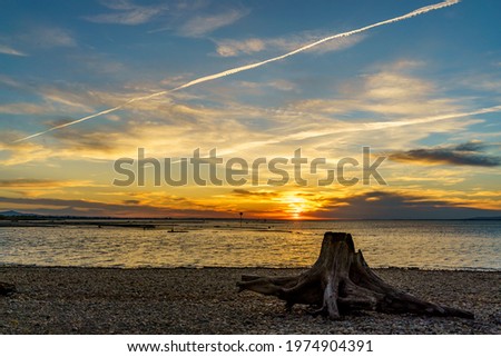 lake of Constance at sunset with veil clouds and tree trunk at the beach. beautiful colored sky in the afterglow. airplane trails in the sky and gravel on the shore in Vorarlberg, Bregenz, Austria