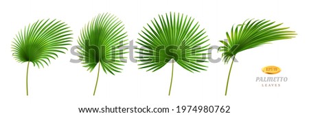 Tropical leaves, isolated palmetto plant decorative foliage in different positions and shapes. Exotic decoration, jungle or rainforest decor. Hawaiian theme and forests. Realistic 3d cartoon vector Royalty-Free Stock Photo #1974980762