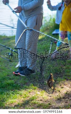 Fishing fish in a net. Selective focus. nature.