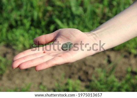 Woman's hand holding the old coin