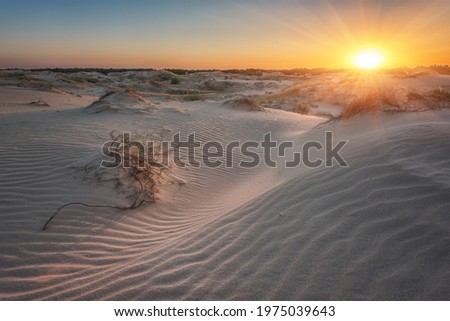 Sand dunes of the desert at sunset, scenic landscape, Oleshky Sands nature park (Oleshkivski pisky), the second largest desert in Europe, Kherson oblast, Ukraine, outdoor travel background