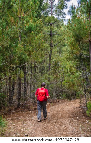 Man Hiking.
Stock Photo Of A Man Hiking In Las Hurdes North Of Cáceres-Spain.