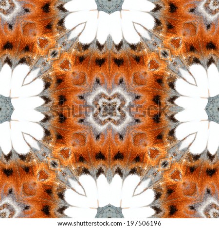 Beautiful colorful pattern background texture made from butterfly's wing.