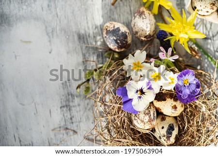 Easter nest with spring flowers