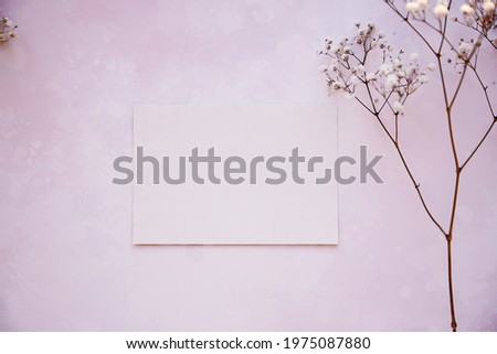Delicate gypsophila and stationery card. Beige background, Scandinavian interior. Top view. Feminine minimalism concept.