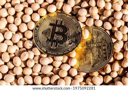 Close-up of gold Bitcoin coins with soybean seeds background, in Brazil