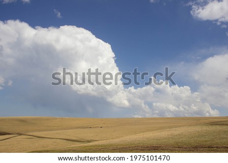white puffy clouds over the field, natural minimalism Royalty-Free Stock Photo #1975101470