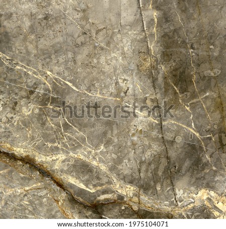 ceramic floor vitrified marble tiles design
