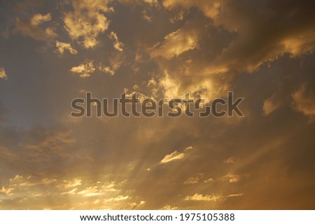 Golden clouds at sunset after the storm