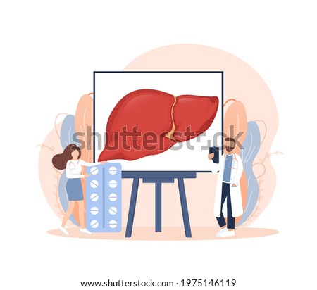 Flat illustration with liver on white background for medical design. Characters in cartoon style. Vector hepatic system organ, digestive gallbladder organ.