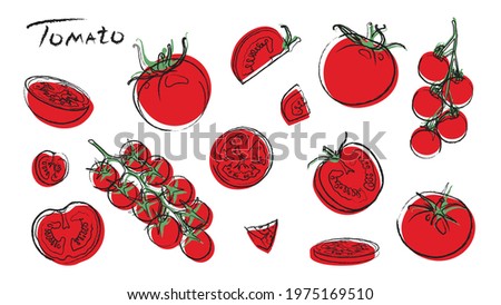 Tomato. Cherry Tomatoes and Tomato Slices. Royalty-Free Stock Photo #1975169510