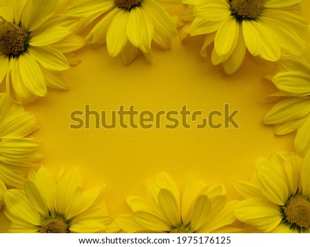 Flowers composition from chrysanthemum flowers on yellow background. Color of the year 2021 illuminating, spring, summer template for your projects. 
