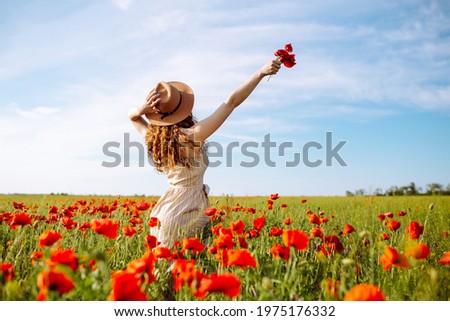 Romantic woman with flower in hand staying in poppy field. Relaxing on summer poppy flowers meadow. A girl with beautiful curly hair is enjoying the weather. Woman in a flower garden with red flowers