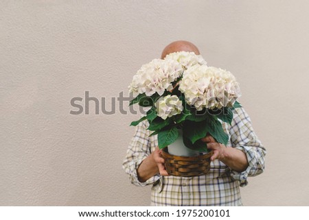 Elderly men and Flowerpot of Hydrangea.
