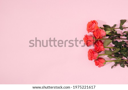 Six beautiful fresh red roses on a pastel pink background. Romantic wedding, congratulations or invitation card  with copy space. Flat lay.