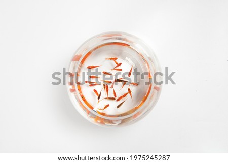 goldfishes swimming in fish bowl on white background