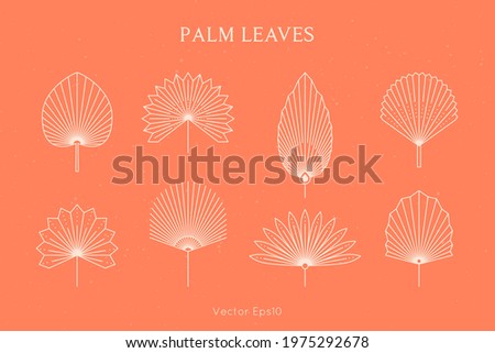 Set of Abstract Palm Leaves in a Trendy Minimal Linear Style. Vector Tropical Leaf Boho Emblem. Floral Illustration for create Logo, Pattern, T-shirt Prints, Tattoo, Social Media Post and Stories Royalty-Free Stock Photo #1975292678
