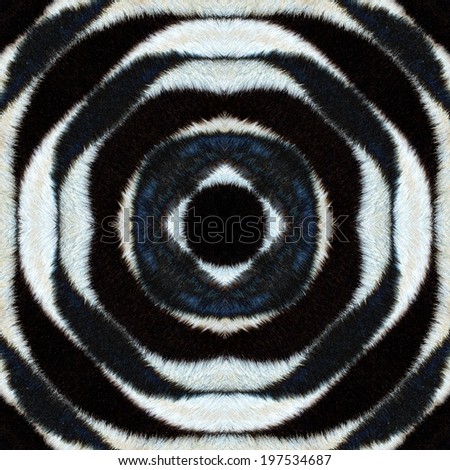 Background and Texture from Pattern of Zebra skin