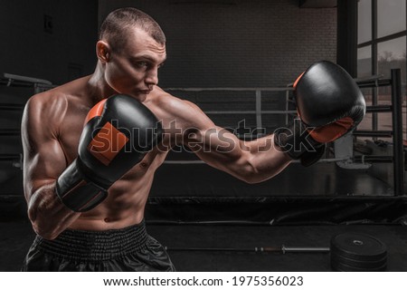 Muscular fighter boxing against the background of the ring. Mixed martial arts concept. High image quality