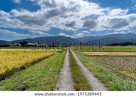 Pathway for agriculture passing between paddy fields in rural area of Fukuoka prefecture, JAPAN.