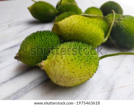 Raw Spiny Gourd On White Color Background Stock Photo Fresh Vegetable Photo