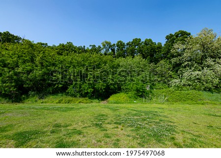 A picture of a field of grass