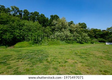 A picture of a field of grass
