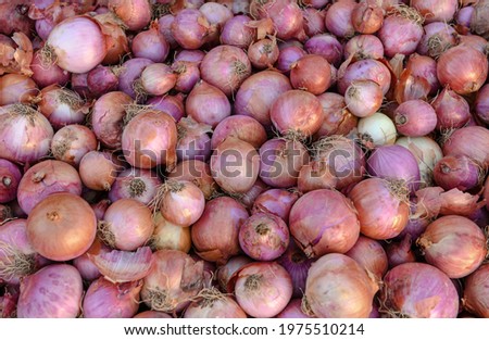 The onion, also known as the bulb onion or common onion, is a vegetable that is the most widely cultivated species of the genus Allium