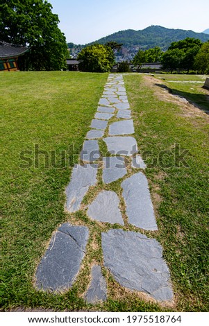 Close up photo of a stone road on the field
